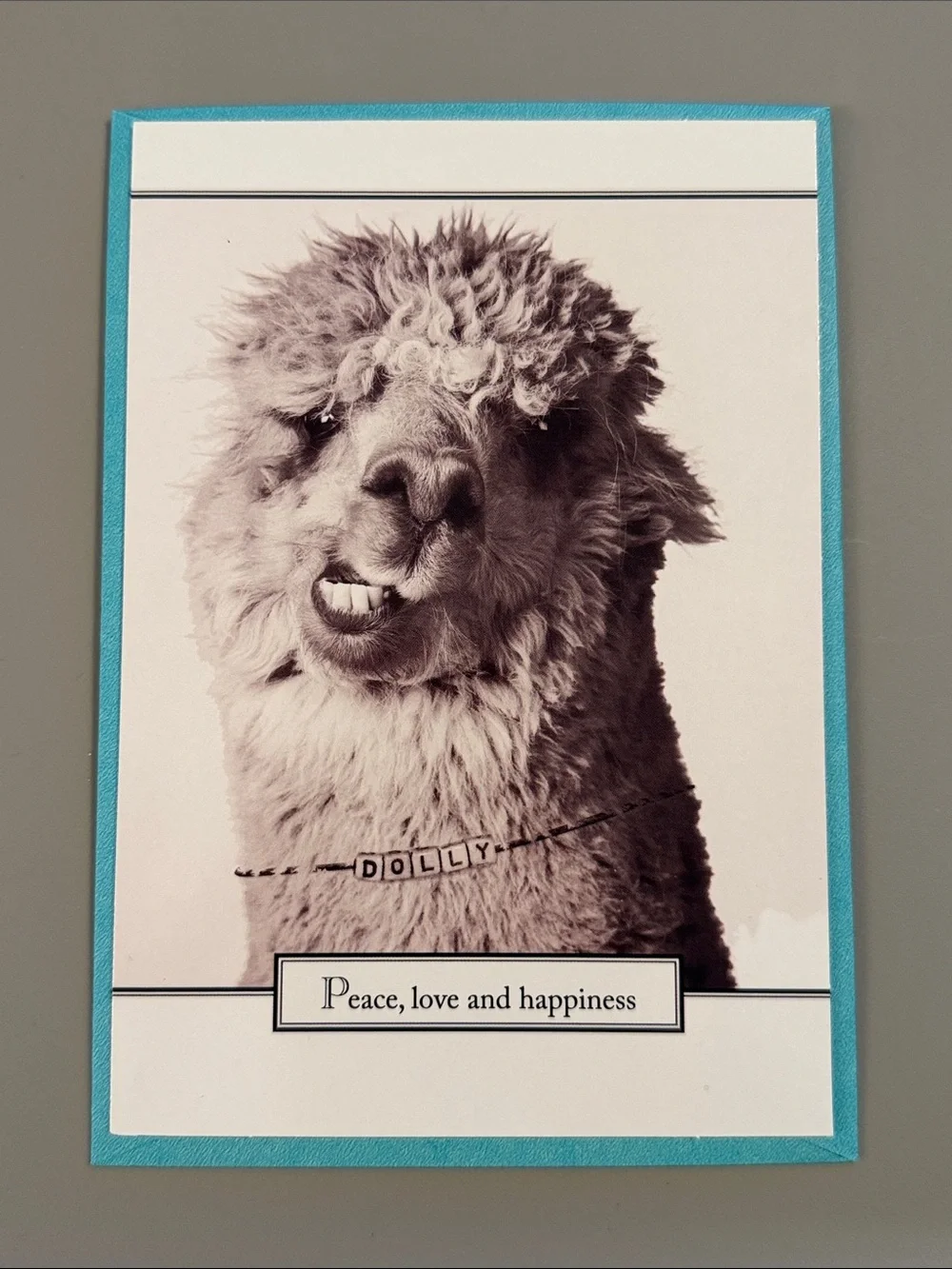 🌻 Bundle of 2 Funny Hallmark / Shoebox Birthday Cards